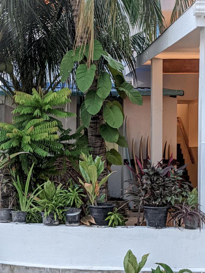 ホテル Dhoadhi Retreat スルスドゥー エクステリア 写真