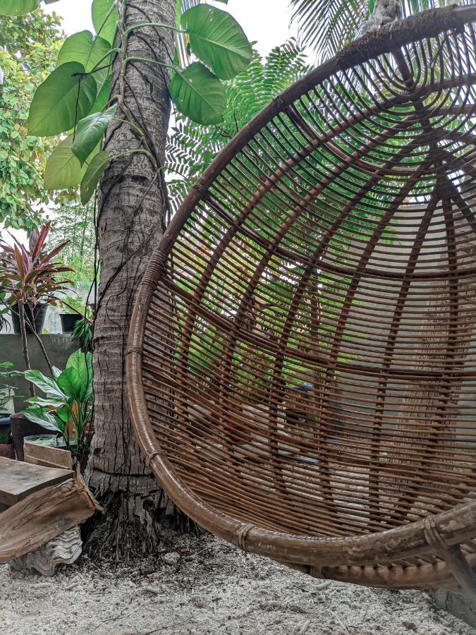 ホテル Dhoadhi Retreat スルスドゥー エクステリア 写真