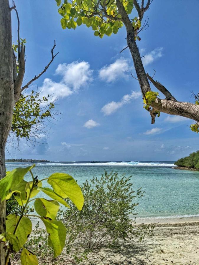 ホテル Dhoadhi Retreat スルスドゥー エクステリア 写真