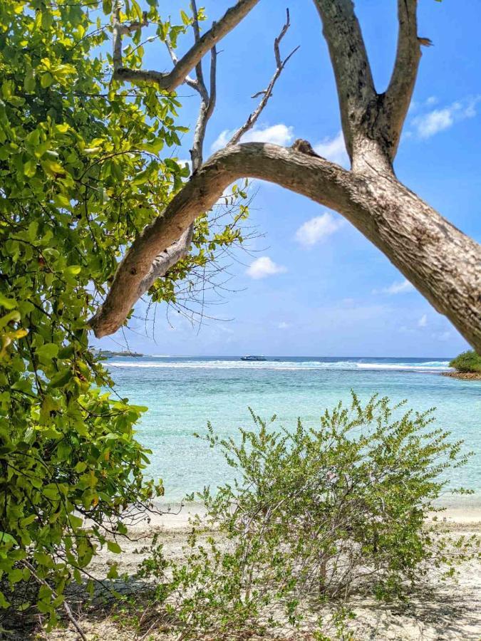 ホテル Dhoadhi Retreat スルスドゥー エクステリア 写真